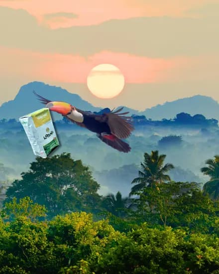 Pieza de la marca: el paquete de LaTiNa sobre un paisaje de monte al atardecer